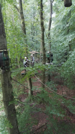 Kletterwald (13).jpg