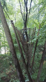 Kletterwald (32).jpg