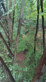 Kletterwald (31).jpg