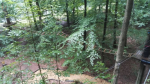 Kletterwald (34).jpg