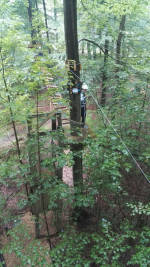 Kletterwald (54).jpg