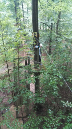 Kletterwald (53).jpg