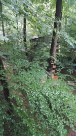 Kletterwald (44).jpg