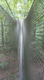 Kletterwald (56).jpg