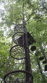 Kletterwald (21).jpg
