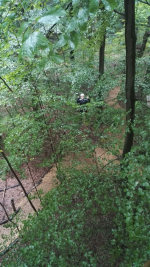 Kletterwald (26).jpg