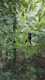Kletterwald (36).jpg