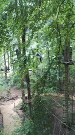 Kletterwald (50).jpg