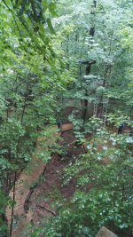 Kletterwald (51).jpg