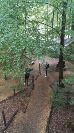Kletterwald (57).jpg