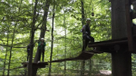 Kletterwald (11).jpg