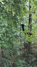 Kletterwald (39).jpg