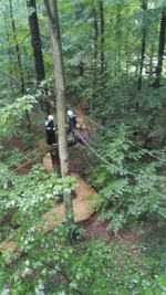 Kletterwald (49).jpg