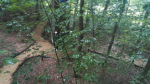 Kletterwald (22).jpg