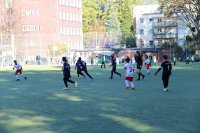 IMG_5993.JPG