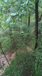 Kletterwald (25).jpg