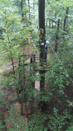Kletterwald (52).jpg