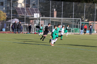 IMG_6015.JPG