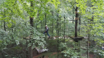 Kletterwald (23).jpg