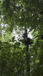 Kletterwald (63).jpg